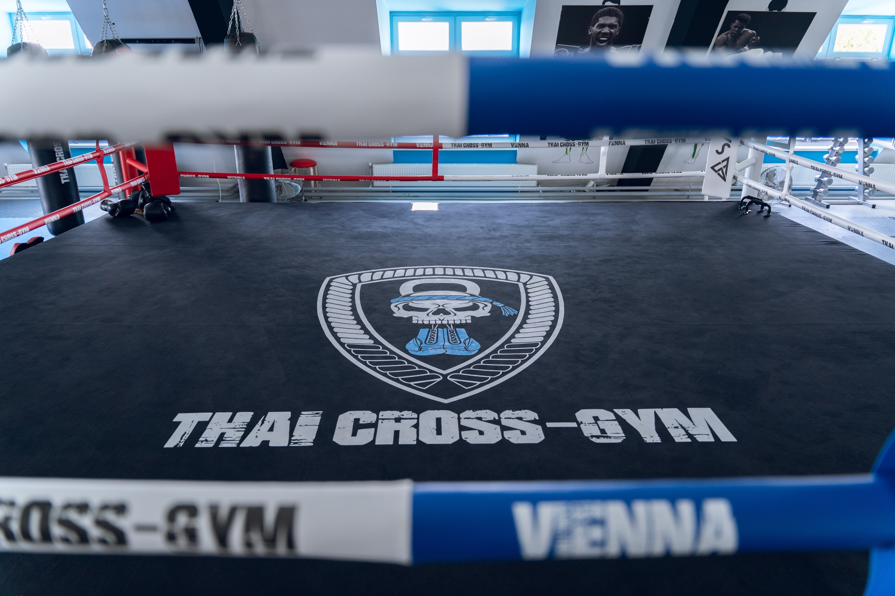 Jawid Momabesad — WBF Title Contender, ThaiCross Gym Wien Boxing Ring